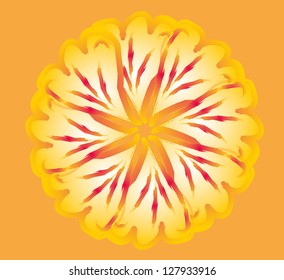 hibiscus flower vector art