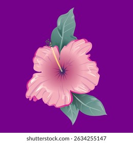 Flor de hibisco Arte vectorial.eps
ilustrador