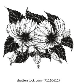 Hibiscus flower vector by hand drawing.Flower set on white background