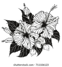 Hibiscus flower vector by hand drawing.Flower set on white background
