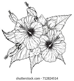 Hibiscus flower vector by hand drawing.Flower vintage card on white background