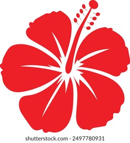 hibiscus flower vector cartoon floral 