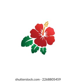 Hibiscus Flower Vector design _ Floral 