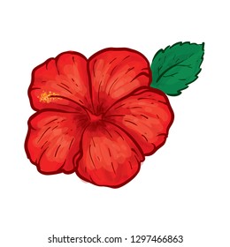 Hibiscus Flower Vector Illustration