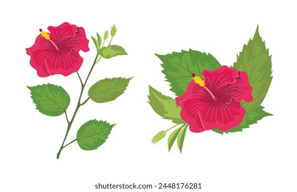 Hibiscus flower vector illustration. Hibiscus clip art. Exotic tropical flower. Summer flower flat vector in cartoon style isolated on white background.