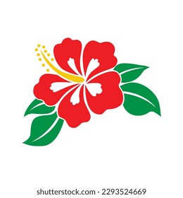 Hibiscus flower, vector illustration, vector graphics
