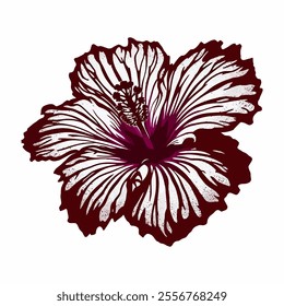 Hibiscus flower vector illustration on a white background