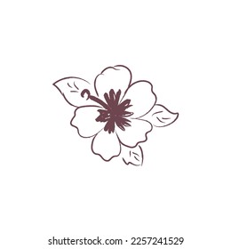 Hibiskusblume, Vektorgrafik einzeln auf weißem Hintergrund