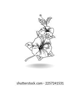 hibiscus flower vector ilustration isolated by white backgroung