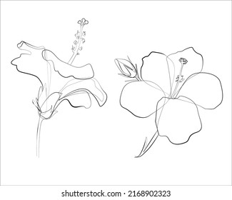 Hibiscus flower vector line art illustration. Abstract floral lilies in continuous hand drawing outline. Minimalistic modern one line art black and white. Vector flower graphic sketch illustration