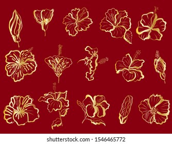 Hibiscus flower vector set for tattoo or printing on jacket on background.Hibiscus floral illustration with Hawaii style.