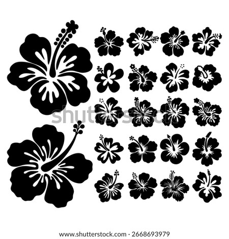 Hibiscus Flower Vector Set – Tropical Botanical Silhouettes