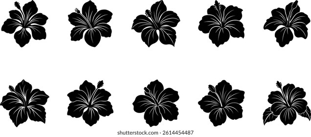 Hibiscus flower vector silhouette on transparent background