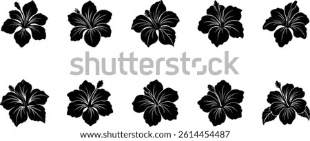 Hibiscus flower vector silhouette on transparent background
