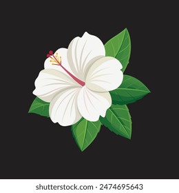 Hibiscus flower wait color illustration vector