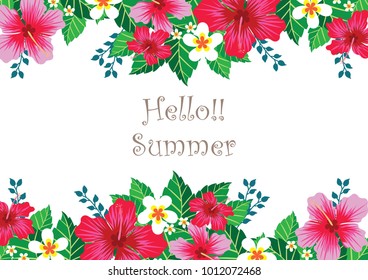 Hibiscus flowers border vector design for summer times.