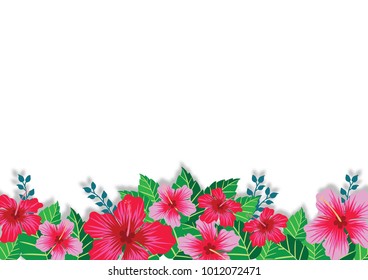 Hibiscus flowers border vector design for summer times.