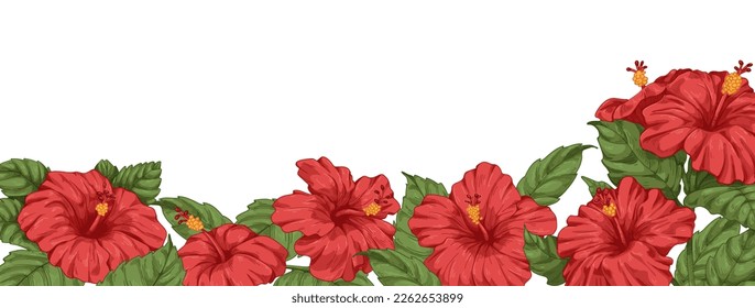 Hibiscus flowers, botanical border. Blossomed floral background drawn in vintage style. Blooming Hawaii plants with leaves, decorative edge, garden banner. Realistic retro colored vector illustration