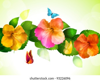 hibiscus flowers and butterflies