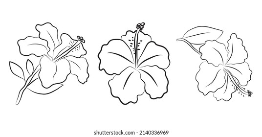 Hibiscus flowers drawn with lines. Set of isolated large open flower buds. For invitations and valentines