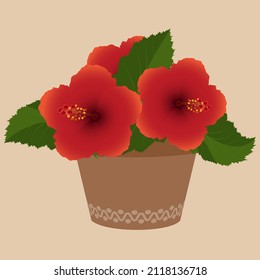 Flores hibiscus en una ilustración vectorial de maceta floral.