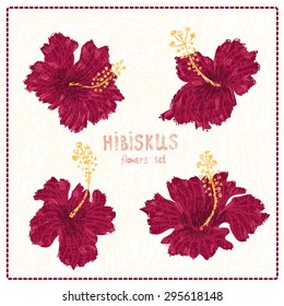 Hibiscus flowers hand drawn  set. All elements of composition located on separate layers and can be easy editable