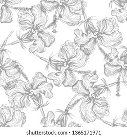 hibiscus flowers illustration pattern seamless vector