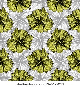 hibiscus flowers illustration pattern seamless vector
