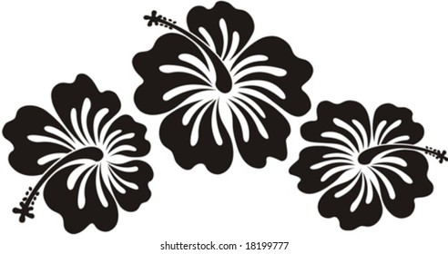 hibiscus flowers ilustration in vector format very easy to edit, tropical flower very usable for design complement