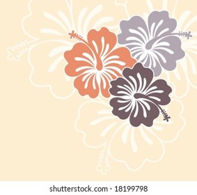 hibiscus flowers ilustration in vector format very easy to edit, tropical flower very usable for design complement