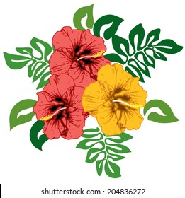 Hibiscus flowers with leaves, red and yellow