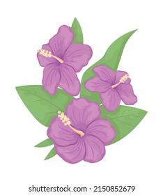 Hibiscus flowers with leaves semi flat color vector object. Full sized item on white. Exotic plant blossoming simple cartoon style illustration for web graphic design and animation