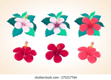 Hibiscus flowers and leaves set. Retro vector design elements