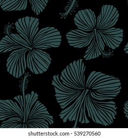 Hibiscus flowers on black background in blue colors.