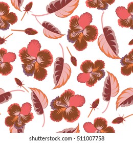 Hibiscus flowers on white background in brown colors.
