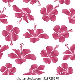 Hibiscus flowers on white background in pink colors.