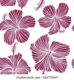 Hibiscus flowers on white background in purple colors.