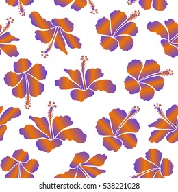 Hibiscus flowers on white background in violet and orange colors.