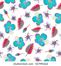 Hibiscus flowers on white background in violet and blue colors.