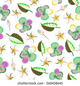 Hibiscus flowers on white background in green and pink colors.