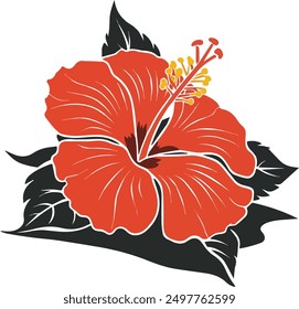 hibiscus flowers, red poppy flower, poppy flowers, poppies on white and red