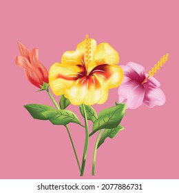 Hibiscus Flowers in three colors Vector  Illustration