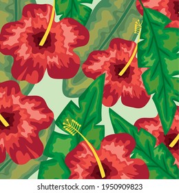 hibiscus flowers and tropical leaves