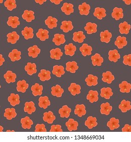 Hibiscus flowers tropical pattern. Exotic seamless pattern with tropical flowers. Hibiscus flower.