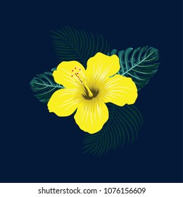 Hibiscus flowers. Vector illustration.