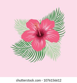 Hibiscus Flowers Vector Illustration Stock Vector Royalty Free Shutterstock