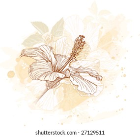Hibiscus flowers & watercolor background. Elements on separate layers