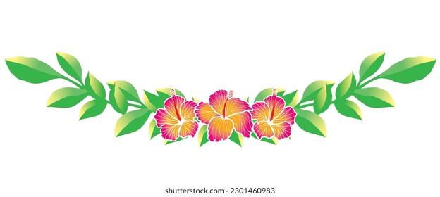 Hibiscus and green leaf ornaments, frames, decorative borders, illustrations