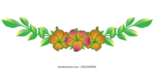 Hibiscus and green leaf ornaments, frames, decorative borders, illustrations