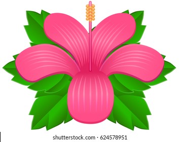 gumamela stock vectors images vector art shutterstock https www shutterstock com image vector hibiscus gumamela flower leaves vector icon 624578951